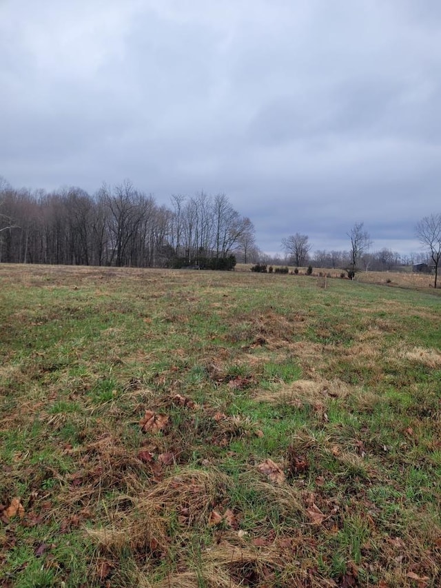 0 Goad Ridge Ln, Pleasant Shade, TN 37145 - photo 5