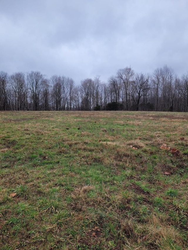 0 Goad Ridge Ln, Pleasant Shade, TN 37145 - photo 2