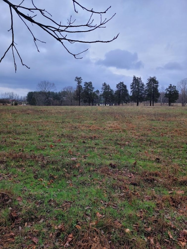 0 Goad Ridge Ln, Pleasant Shade, TN 37145 - photo 7