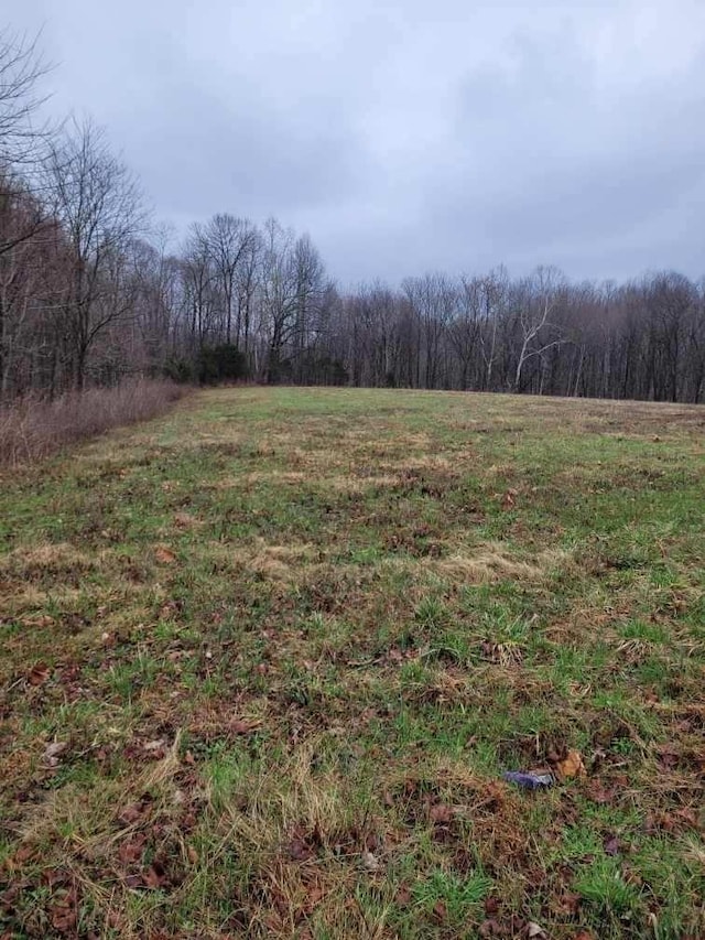 0 Goad Ridge Ln, Pleasant Shade, TN 37145 - photo 3