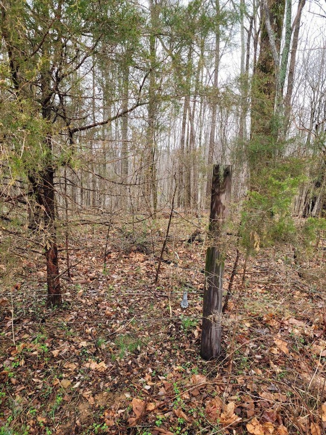 0 Goad Ridge Ln, Pleasant Shade, TN 37145 - photo 10