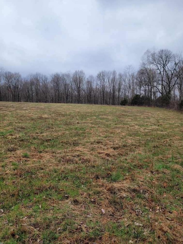 0 Goad Ridge Ln, Pleasant Shade, TN 37145 - photo 13