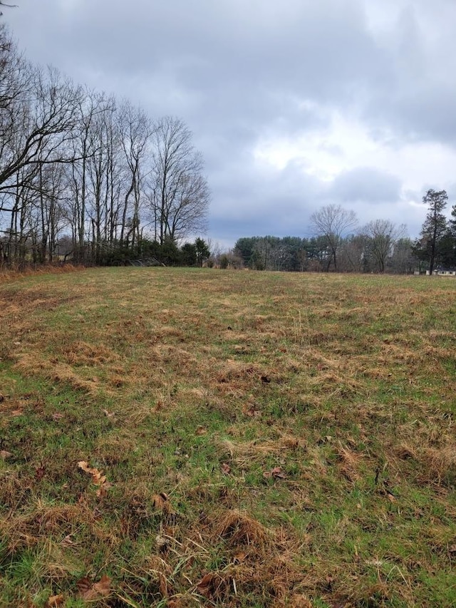 0 Goad Ridge Ln, Pleasant Shade, TN 37145 - photo 11