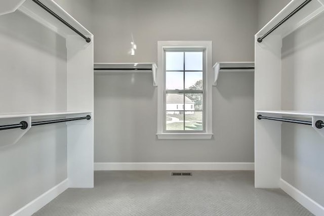 1013 Laguna Dr, Franklin, TN 37067 - photo 64