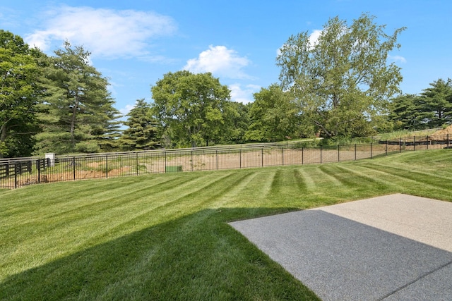 1001 Laguna Dr, Franklin, TN 37067 - view of yard