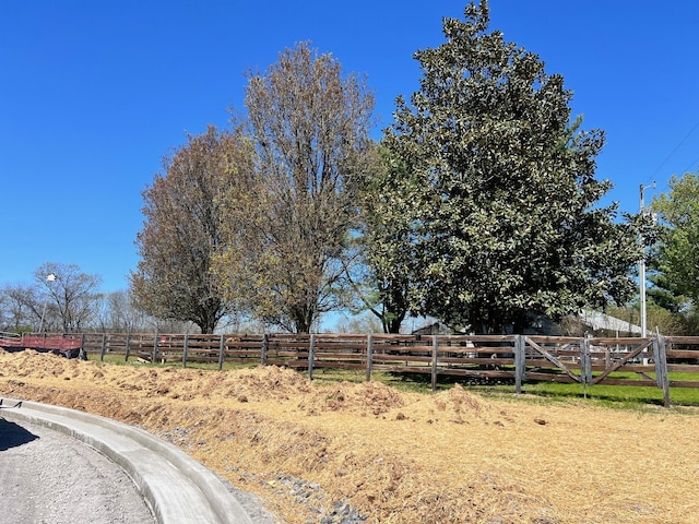 1006 Laguna Dr, Franklin, TN 37067 - view of yard