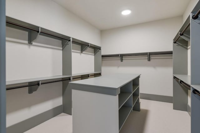 9906 Amarosa Ct, Brentwood, TN 37027 - view of spacious closet