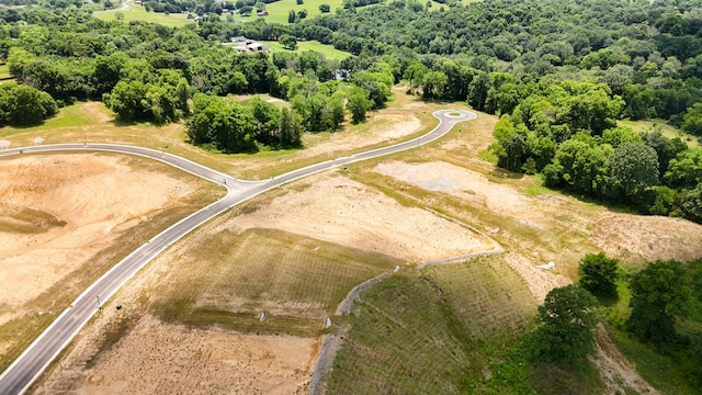 9906 Amarosa Ct, Brentwood, TN 37027 - drone / aerial view