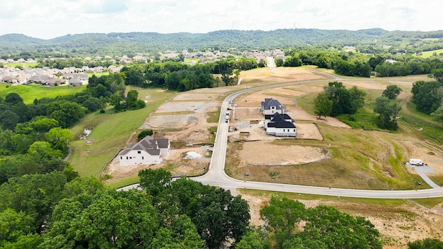 9906 Amarosa Ct, Brentwood, TN 37027 - aerial view of a mountainous background
