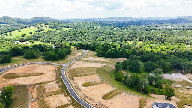9906 Amarosa Ct, Brentwood, TN 37027 - aerial view of a mountain backdrop