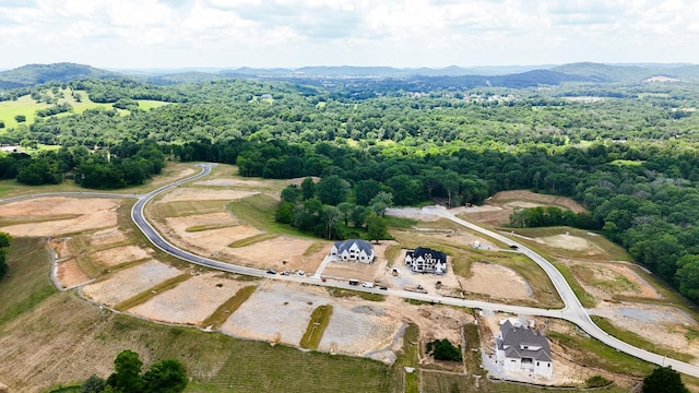 9906 Amarosa Ct, Brentwood, TN 37027 - bird's eye view of a forest