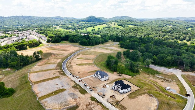 9906 Amarosa Ct, Brentwood, TN 37027 - aerial view of property and surrounding area