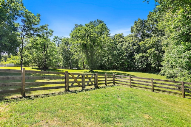 600 S Tunnel Rd, Gallatin, TN 37066 - view of yard