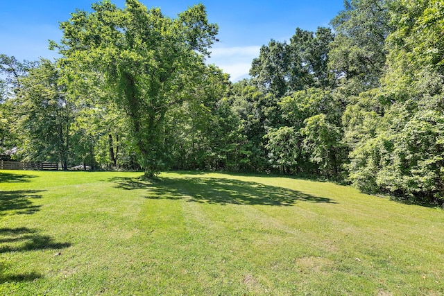 600 S Tunnel Rd, Gallatin, TN 37066 - view of yard featuring a forest view