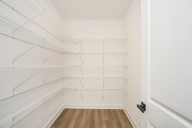 124 W Cassa Way, Mount Juliet, TN 37122 - view of pantry