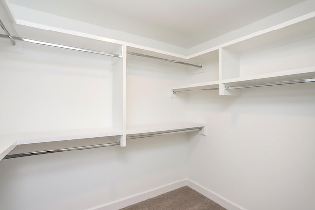 124 W Cassa Way, Mount Juliet, TN 37122 - spacious closet with carpet flooring