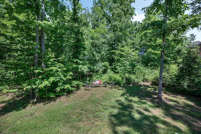 7112 Pepper Tree Cir, Fairview, TN 37062 - view of grassy yard