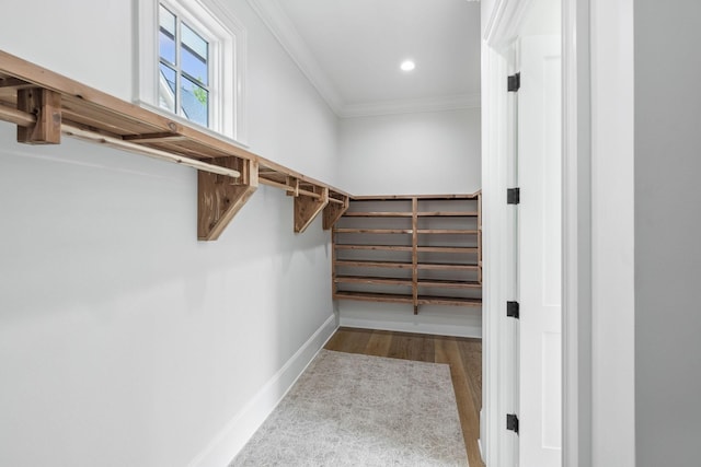 304 Berry Cir, Franklin, TN 37064 - spacious closet with wood finished floors