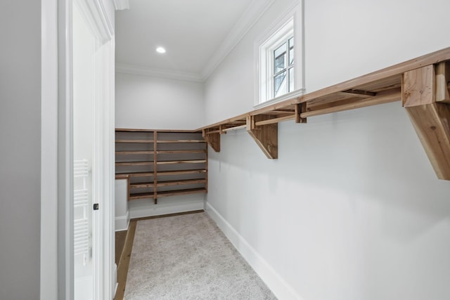 304 Berry Cir, Franklin, TN 37064 - walk in closet with carpet