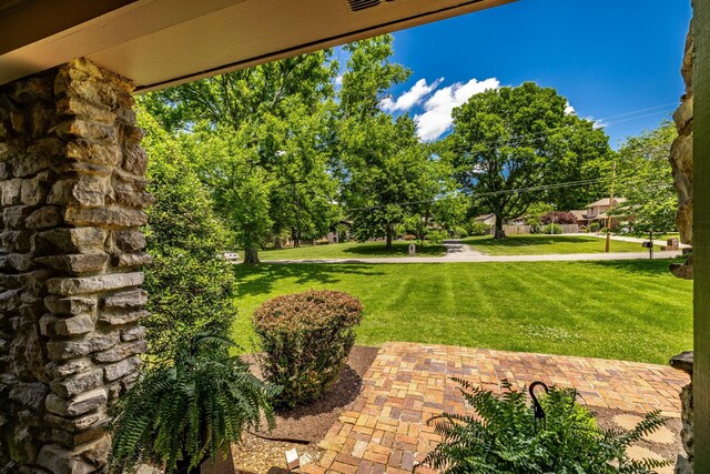 116 Jackson Ln, Hendersonville, TN 37075 - view of grassy yard