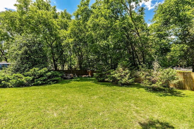 116 Jackson Ln, Hendersonville, TN 37075 - view of yard