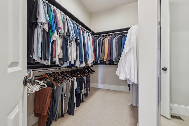 424 Wild Elm St, Franklin, TN 37064 - spacious closet featuring carpet