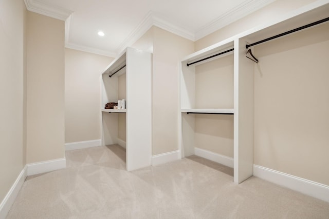 424 Wild Elm St, Franklin, TN 37064 - walk in closet with carpet floors