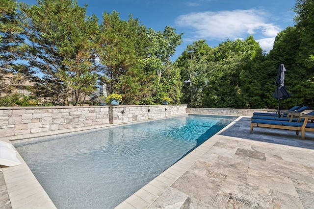 424 Wild Elm St, Franklin, TN 37064 - outdoor pool featuring a patio area