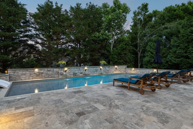 424 Wild Elm St, Franklin, TN 37064 - outdoor pool with a patio area