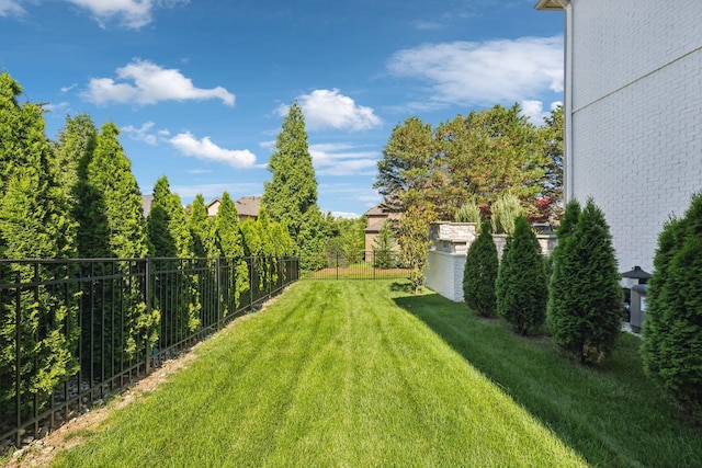 424 Wild Elm St, Franklin, TN 37064 - view of yard