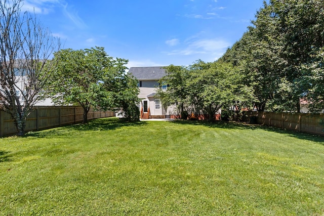 2905 Burtonwood Dr, Spring Hill, TN 37174 - view of yard
