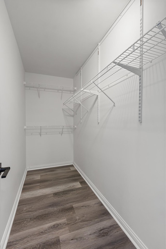 2905 Burtonwood Dr, Spring Hill, TN 37174 - spacious closet with dark wood-style floors