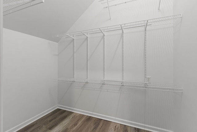 2905 Burtonwood Dr, Spring Hill, TN 37174 - walk in closet with wood finished floors and vaulted ceiling