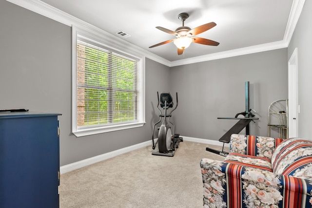 288 Page Dr, Mount Juliet, TN 37122 - photo 23