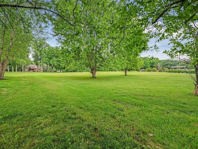 1417 Guill Rd, Mount Juliet, TN 37122 - view of grassy yard featuring view of scattered trees