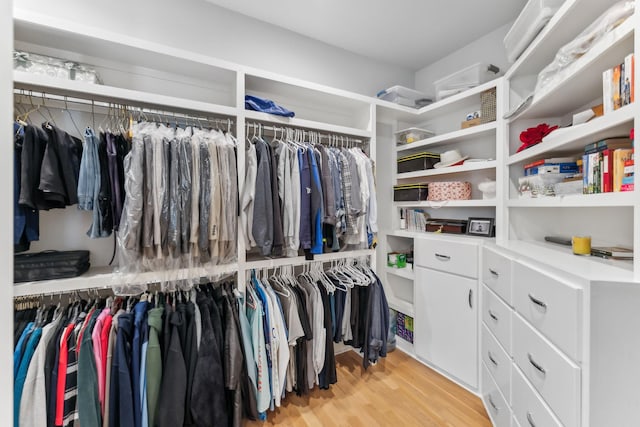 4043 Old Light Cir, Arrington, TN 37014 - walk in closet featuring light wood-style flooring