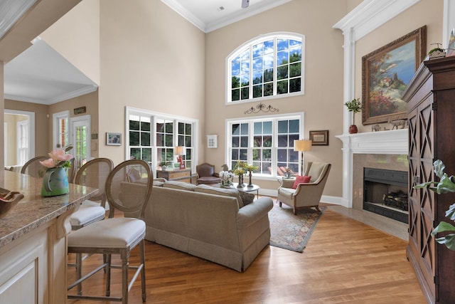 3285 Blazer Rd, Franklin, TN 37064 - living room with a premium fireplace, light wood-type flooring, ornamental molding, healthy amount of natural light, and a high ceiling