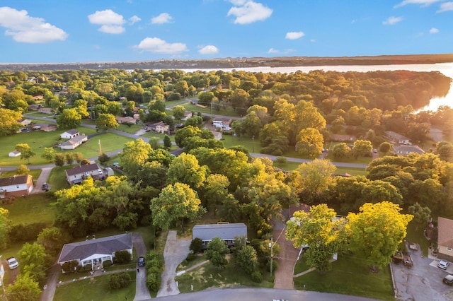 104 Dolphus Dr, Hendersonville, TN 37075 - aerial view of residential area with a tree filled landscape