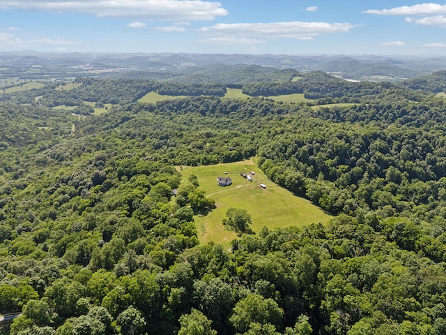 53 Bevelheimer Ln, Elmwood, TN 38560 - photo 60