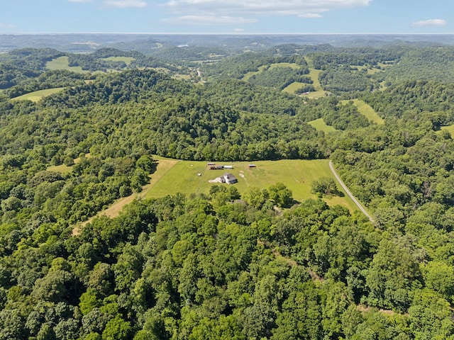 53 Bevelheimer Ln, Elmwood, TN 38560 - photo 68