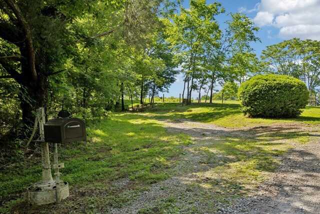 53 Bevelheimer Ln, Elmwood, TN 38560 - photo 56