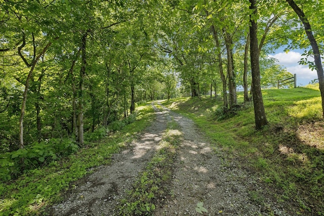 53 Bevelheimer Ln, Elmwood, TN 38560 - photo 57