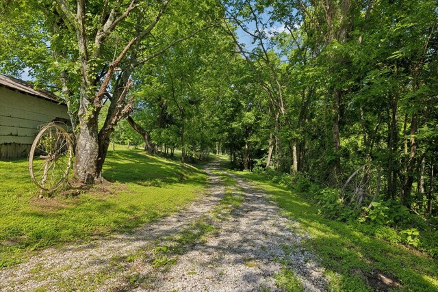 53 Bevelheimer Ln, Elmwood, TN 38560 - photo 55