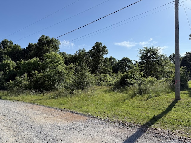0 Grace Ln, Lawrenceburg, TN 38464 - photo 5