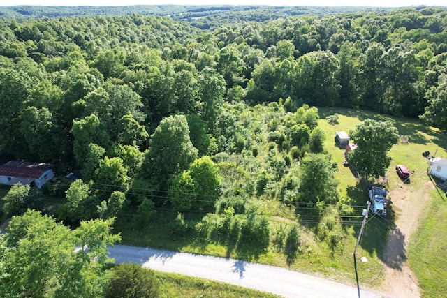 0 Grace Ln, Lawrenceburg, TN 38464 - photo 4