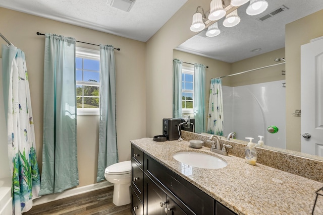 1710 Collins Hollow Rd, Lewisburg, TN 37091 - bathroom featuring wood finished floors, toilet, vanity, plenty of natural light, and a textured ceiling