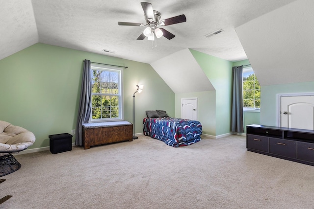 1710 Collins Hollow Rd, Lewisburg, TN 37091 - carpeted bedroom with lofted ceiling, baseboards, a ceiling fan, multiple windows, and a textured ceiling