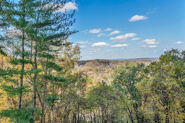 6666 Brookmont Ter Unit 307, Nashville, TN 37205 - view of mountain backdrop with a forest