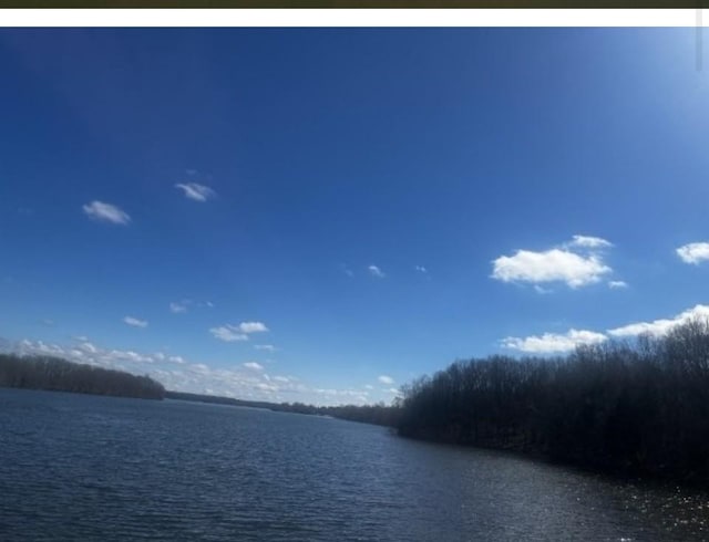 1161 Honey Ln, Estill Springs, TN 37330 - water view