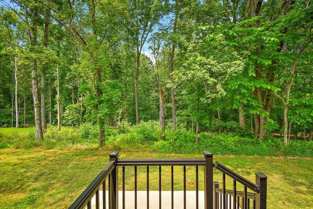 1161 Honey Ln, Estill Springs, TN 37330 - view of yard